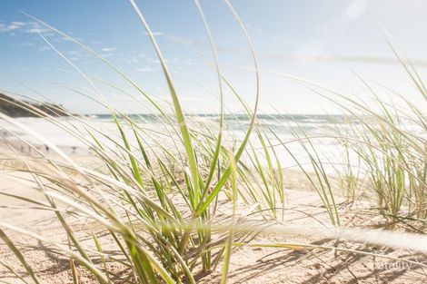 Property photo of 1 Cutback Court Bokarina QLD 4575