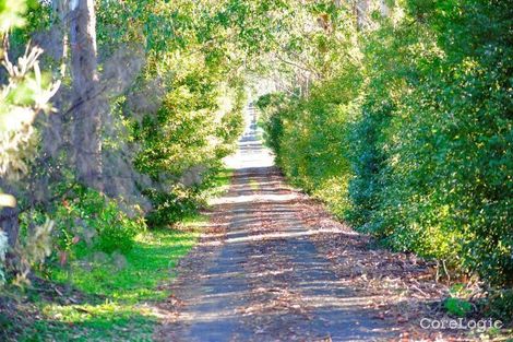 Property photo of 66 Yarrabee Terrace Stokers Siding NSW 2484