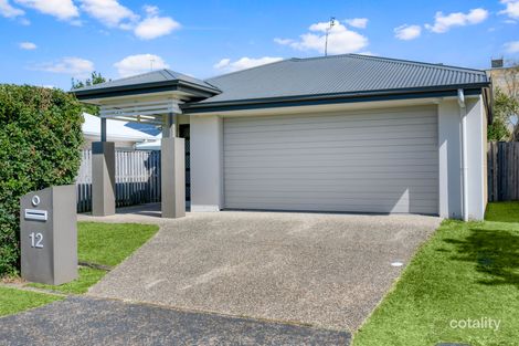 Property photo of 12 Clarence Court Maroochydore QLD 4558