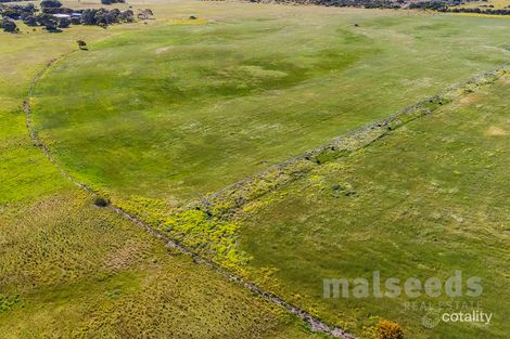 139 Sandy Lane, Robe, SA 5276