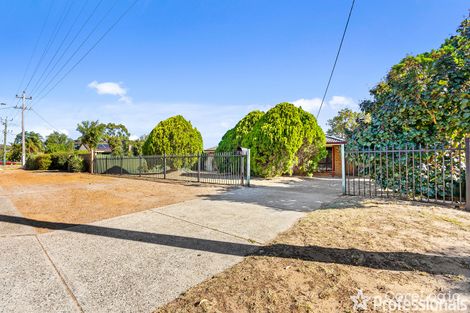 Property photo of 84 Strelitzia Avenue Forrestfield WA 6058