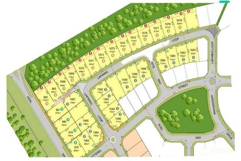 Property photo of 7 Lapwing Loop Djugun WA 6725