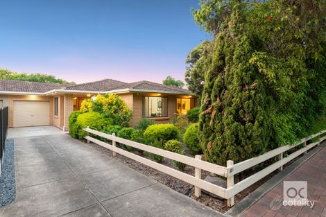 Property photo of 13A Jessie Road Kensington Park SA 5068