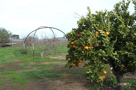 Property photo of 42 Ashbourne Road Strathalbyn SA 5255