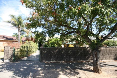 3 Crozier Ave, Daw Park, SA 5041