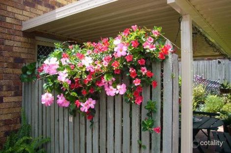 Property photo of 1/21 Gipps Street Drayton QLD 4350