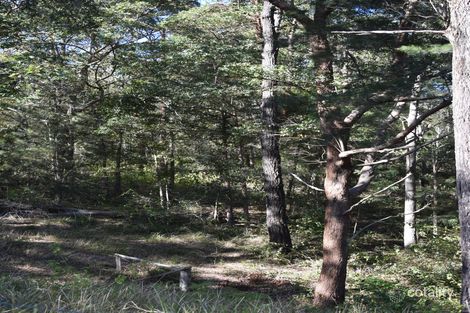 573 Taylors Arm Rd, Congarinni, NSW 2447