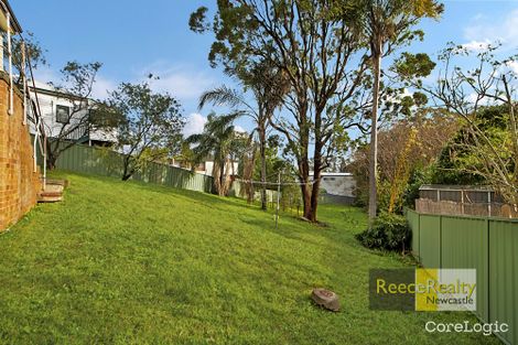 Property photo of 35 Naughton Avenue Birmingham Gardens NSW 2287