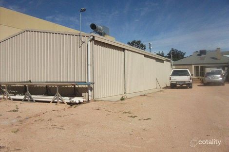 Property photo of 8 Kay Avenue Berri SA 5343