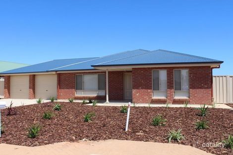 1 Balfour St, Risdon Park South, SA 5540