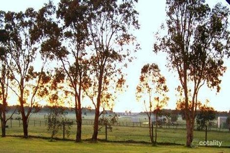 Property photo of 26 Bungower Road Somerville VIC 3912