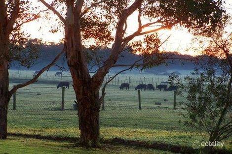 Property photo of 26 Bungower Road Somerville VIC 3912