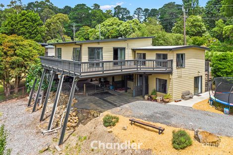 Property photo of 61 Waratah Avenue Belgrave VIC 3160