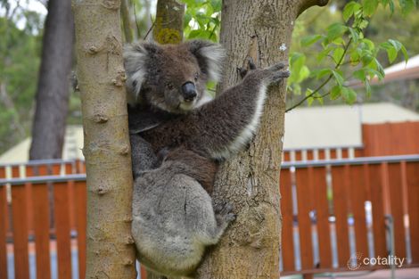 138 Aldgate Valley Rd, Mylor, SA 5153