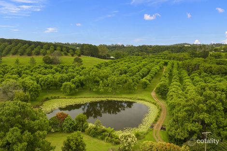 Property photo of 204 Tooheys Mill Road Nashua NSW 2479
