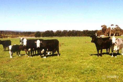 Property photo of 120 Stumpy Gully Road Balnarring VIC 3926