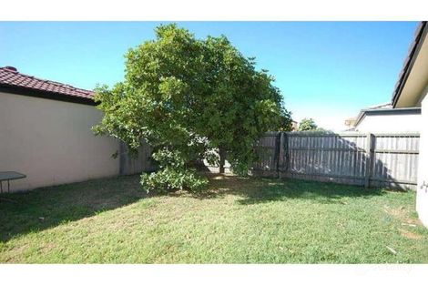 Property photo of 11 Serafina Drive Helensvale QLD 4212