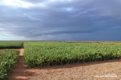 121 Mcglades Rd, North Plantations, WA 6701