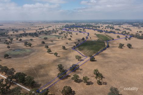 Lot 10 Mcfadgen Rd, Maaoupe, SA 5277