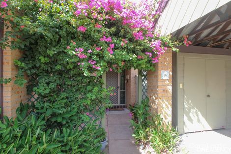 Property photo of 14/26 Willcox Avenue Singleton Heights NSW 2330