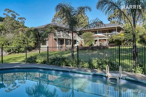 5 Goldsack Ave, Coromandel Valley, SA 5051