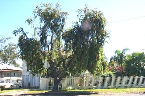 73 Haynes St, Park Avenue, QLD 4701