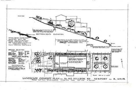 40 Hillside Rd, Newport, NSW 2106