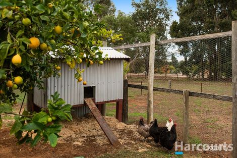 Property photo of 35 Murray Grey Circle Lower Chittering WA 6084