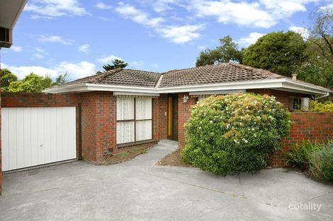 6/28 Stodart St, Camberwell, VIC 3124