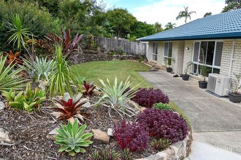 Property photo of 13 Nicholas Court Bli Bli QLD 4560