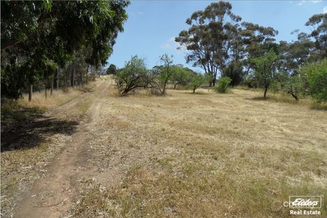 Property photo of 11 Old Sturt Highway Daveyston SA 5355