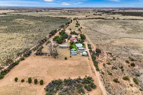 549 Murbko Rd, Murbko, SA 5320