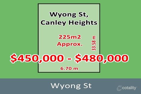 45b Wyong St, Canley Heights, NSW 2166