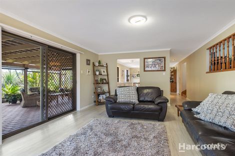Property photo of 6 Chabrol Court Petrie QLD 4502