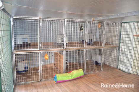 Property photo of 4212 Bundarra Road Inverell NSW 2360