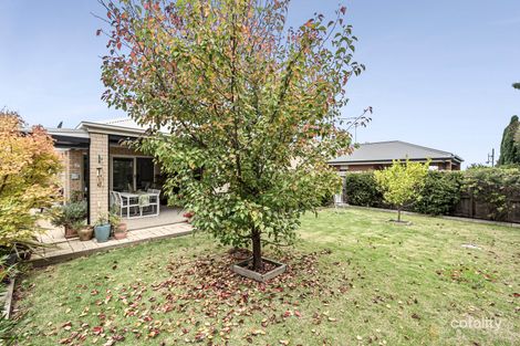 Property photo of 15 Tyro Street Ocean Grove VIC 3226