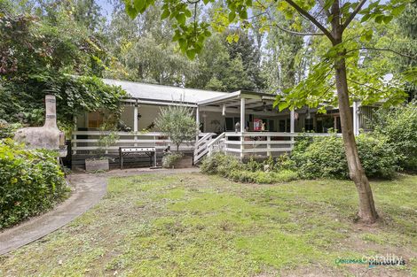 Property photo of 3305 Maroondah Highway Taggerty VIC 3714