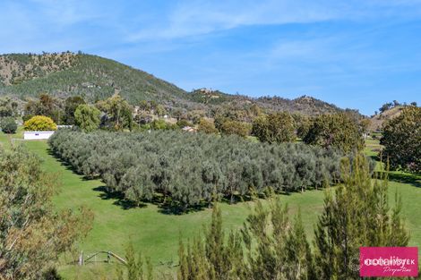 Property photo of 495 Back Kootingal Road Nemingha NSW 2340