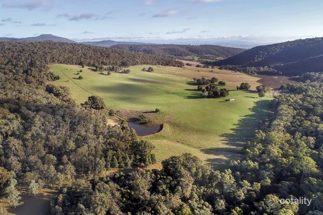 1382 Buttercup Rd, Merrijig, VIC 3723