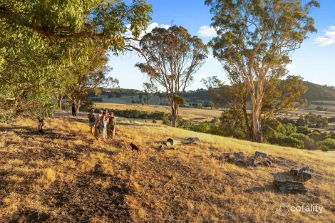 155 Shanks Lane, Boorolite, VIC 3723