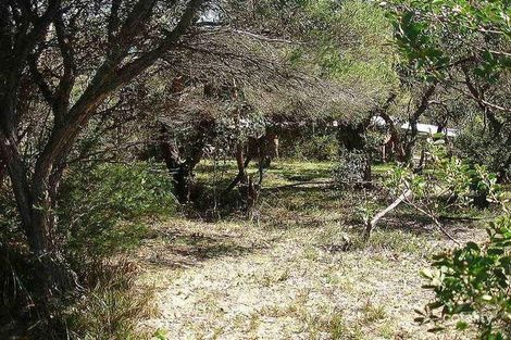 47 Parker St, Anglesea, VIC 3230