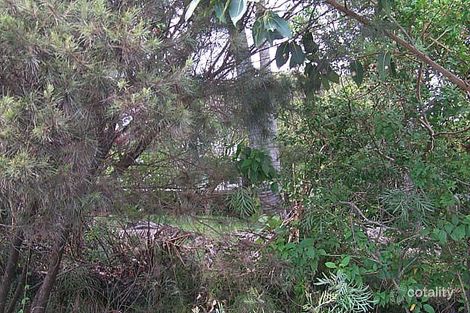 107 Mooloomba Rd, Point Lookout, QLD 4183