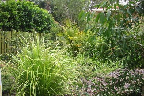 Property photo of 17 Cramer Street Tarragindi QLD 4121