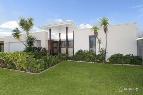 Property photo of 33 Wandoo Street Minyama QLD 4575