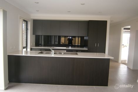 Property photo of 14 Grindelia Drive Springfield Lakes QLD 4300