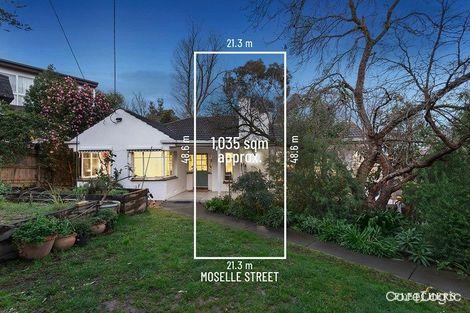 Property photo of 46 Moselle Street Mont Albert North VIC 3129