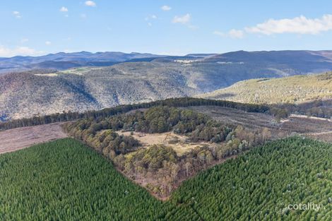 Property photo of Pitts Road Moogara TAS 7140