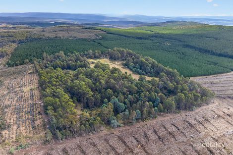 Property photo of Pitts Road Moogara TAS 7140