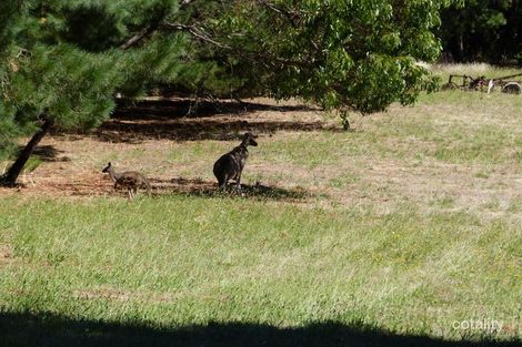 Property photo of 84 Green Valley Road Norton Summit SA 5136