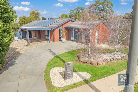 Property photo of 17 Horne Street Echuca VIC 3564